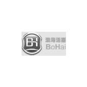 File:Bohai Automotive Systems CO., LTD. logo.jpg