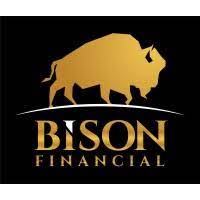 File:Bison Finance Group Limited logo.jpg