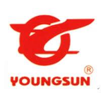 File:Hangzhou Youngsun Intelligent Equipment Co., Ltd. logo.jpg