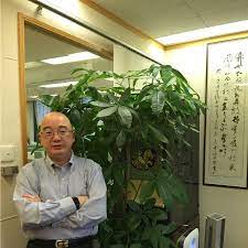 File:Min Xin Holdings Limited logo.jpg