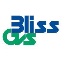 File:Bliss GVS Pharma Limited logo.jpg
