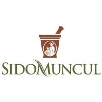 File:PT Industri Jamu dan Farmasi Sido Muncul Tbk logo.jpg