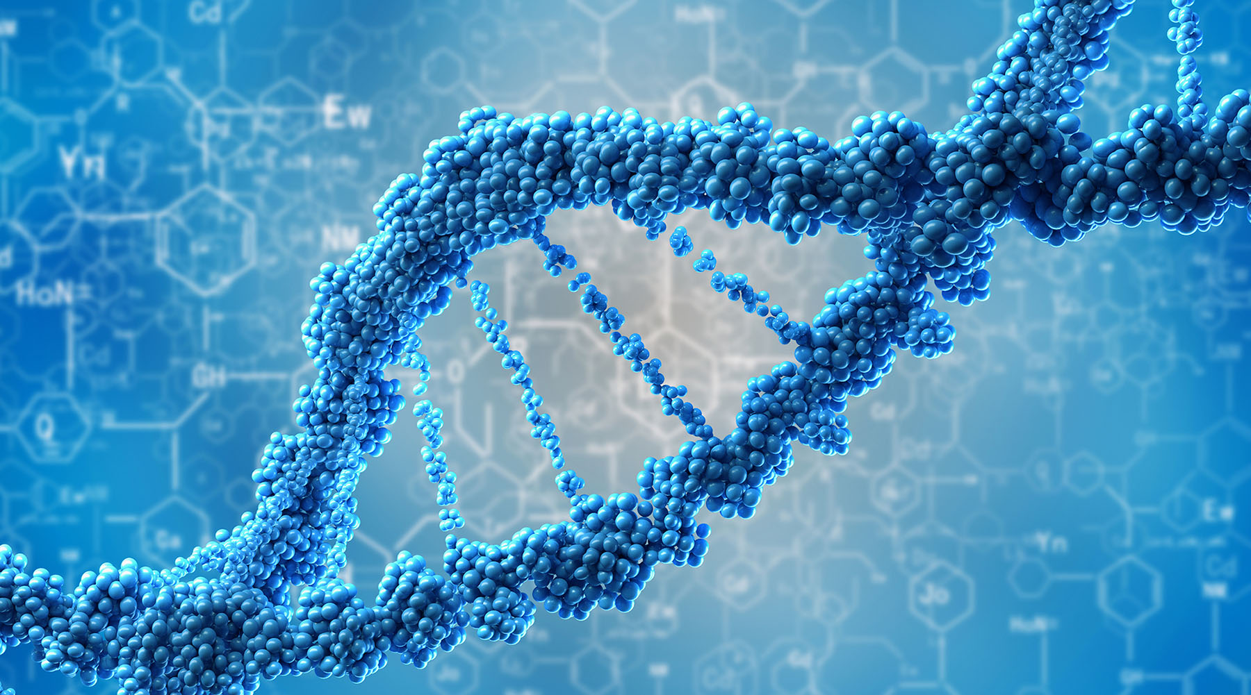 DNA banner.jpg