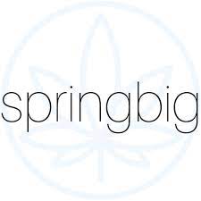 File:SpringBig Holdings, Inc. logo.jpg