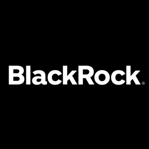 File:Blackrock logo.png