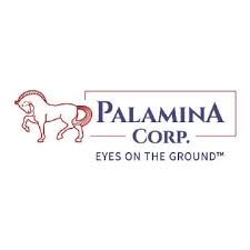 File:Palamina Corp. logo.jpg