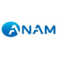 File:Anam Electronics Co.,Ltd. logo.jpg