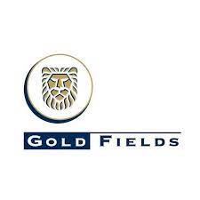 File:Gold Fields Limited logo.jpg