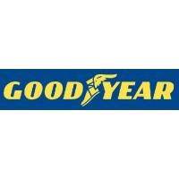 File:PT Goodyear Indonesia Tbk logo.jpg