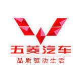 File:Wuling Motors Holdings Limited logo.jpg