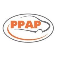 File:PPAP Automotive Limited logo.jpg
