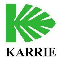 File:Karrie International Holdings Limited logo.jpg