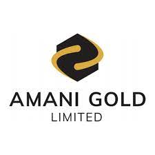 File:Amani Gold Limited logo.jpg