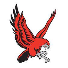 File:RedHawk Holdings Corp. logo.jpg