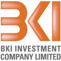 File:BKI Investment Company Limited logo.jpg