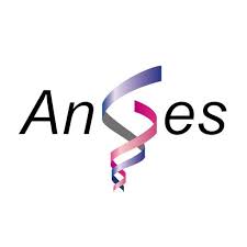 File:AnGes, Inc. logo.jpg