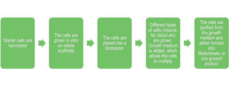 File:Cellular agriculture process.png