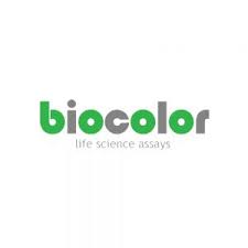 File:BioSyntech, Inc. logo.jpg