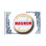 File:Magnum Ventures Limited logo.jpg