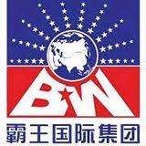 File:BaWang International logo.jpg