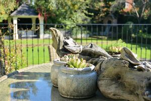 65830 SJW180081 IMG 08 0000.jpeg