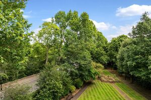 90830 2505485 IMG 19 0000.jpeg