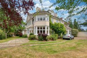 247178 WIH220047 IMG 11 0000.jpeg