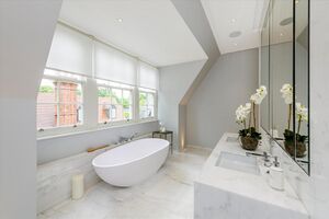 65806 HAM150199 IMG 15 0000.jpeg