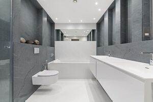 55390 2235582 IMG 04 0000.jpeg