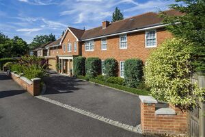 74440 31017466 IMG 13 0000.jpeg