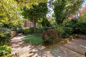 195101 Dwnhillhamv IMG 12 0000.jpeg