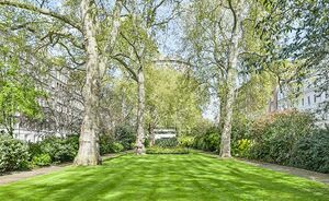 44264 CSD170387 IMG 03 0000.jpeg