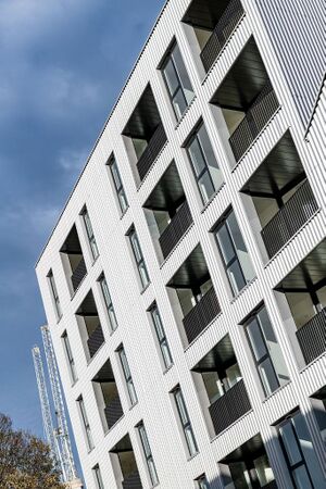 240599 Plot21 IMG 157 0000.jpeg