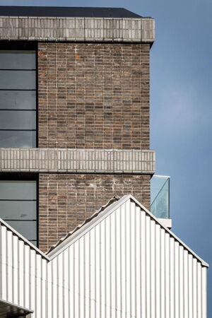 240599 Plot21 IMG 168 0000.jpeg