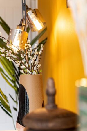 240599 Plot21 IMG 48 0000.jpeg