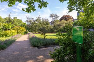 4841 CST220179 IMG 17 0000.jpeg