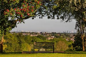 88409 HAW220082 IMG 46 0000.jpeg