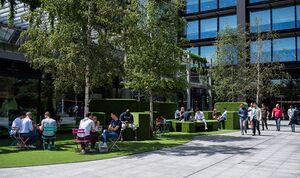 247181 PrincipalPenthouse IMG 13 0000.jpeg