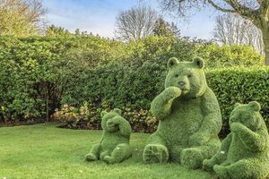 22317 TOT190204 IMG 08 0000.jpeg