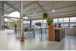 203015 1238318-1 IMG 18 0001.jpeg