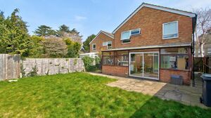 8013 23350038 IMG 08 0000.jpeg