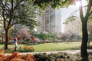 248357 24971554 IMG 08 0000.jpeg