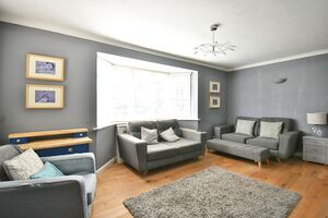 374 SCY220226 IMG 03 0000.jpeg