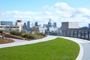 212384 P133518 IMG 15 0000.jpeg