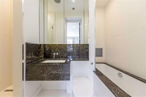 50701 31600556 IMG 10 0003.jpeg