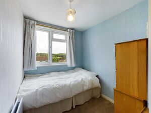 6225 31762227 IMG 11 0000.jpeg