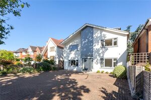 595 WHS220208 IMG 19 0000.jpeg