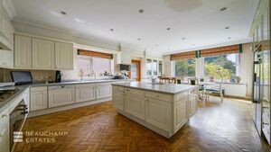 79914 7330700 IMG 03 0001.jpeg