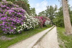 88409 HAW210081 IMG 24 0000.jpeg