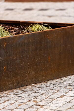 240599 Plot21 IMG 146 0000.jpeg